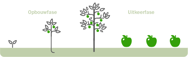 Opbouwfase groeiende boom Uitkeerfase appels