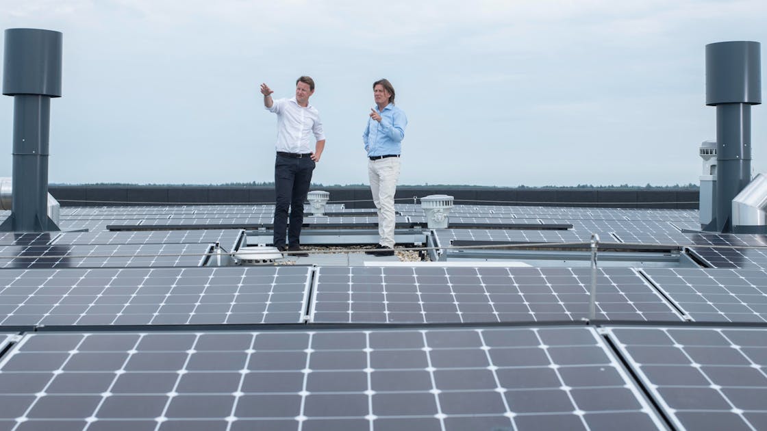Jack Zuidweg, expert vastgoed bij Centraal Beheer, staat op het dak van een bedrijfspand vol met zonnepanelen