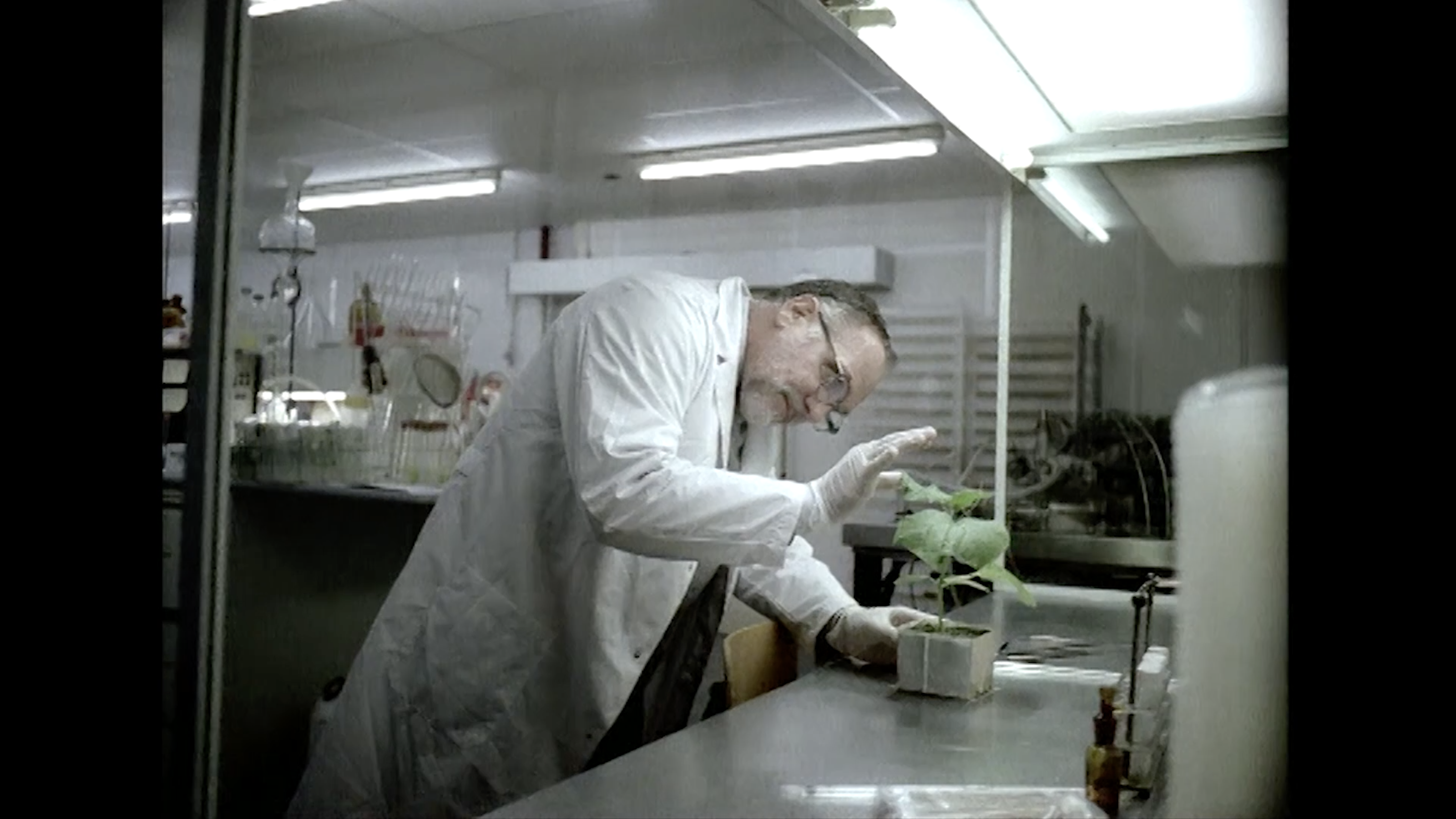 Beeld Even Apeldoorn Bellen video