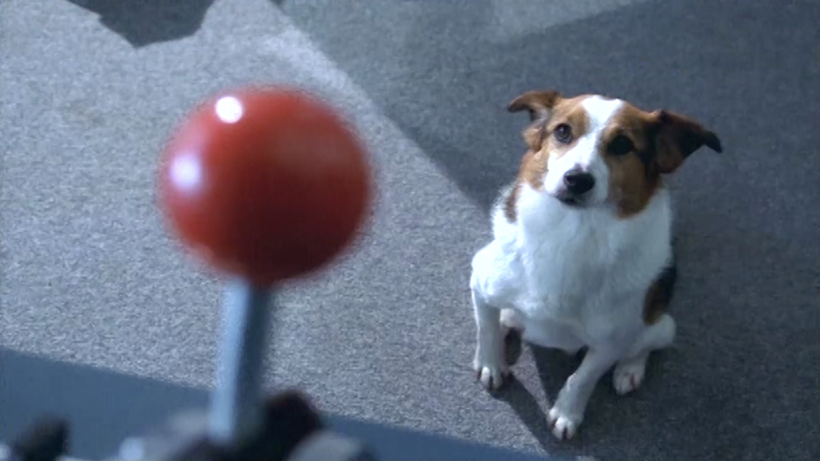 Beeld Even Apeldoorn Bellen video