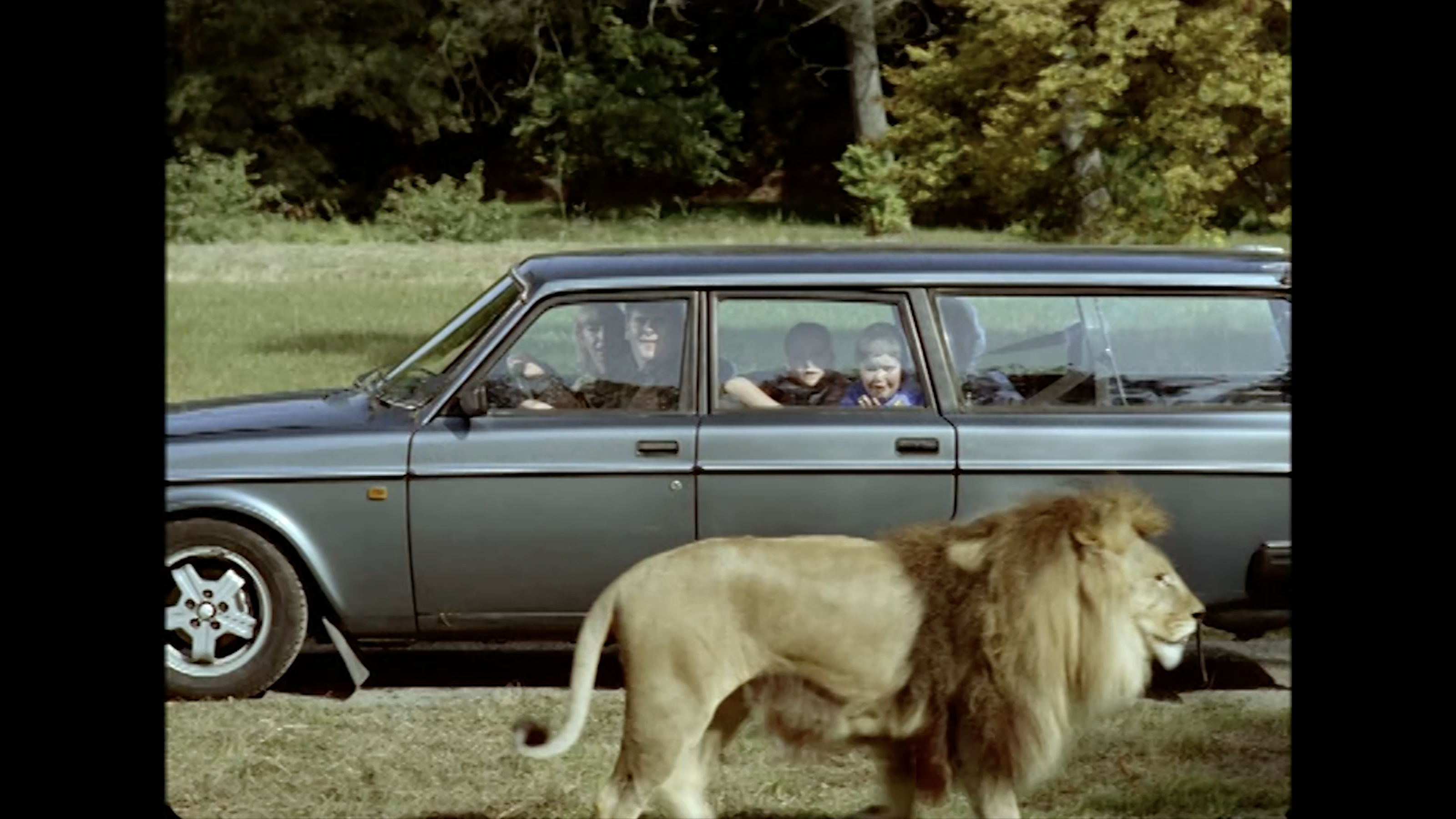 Beeld Even Apeldoorn Bellen video