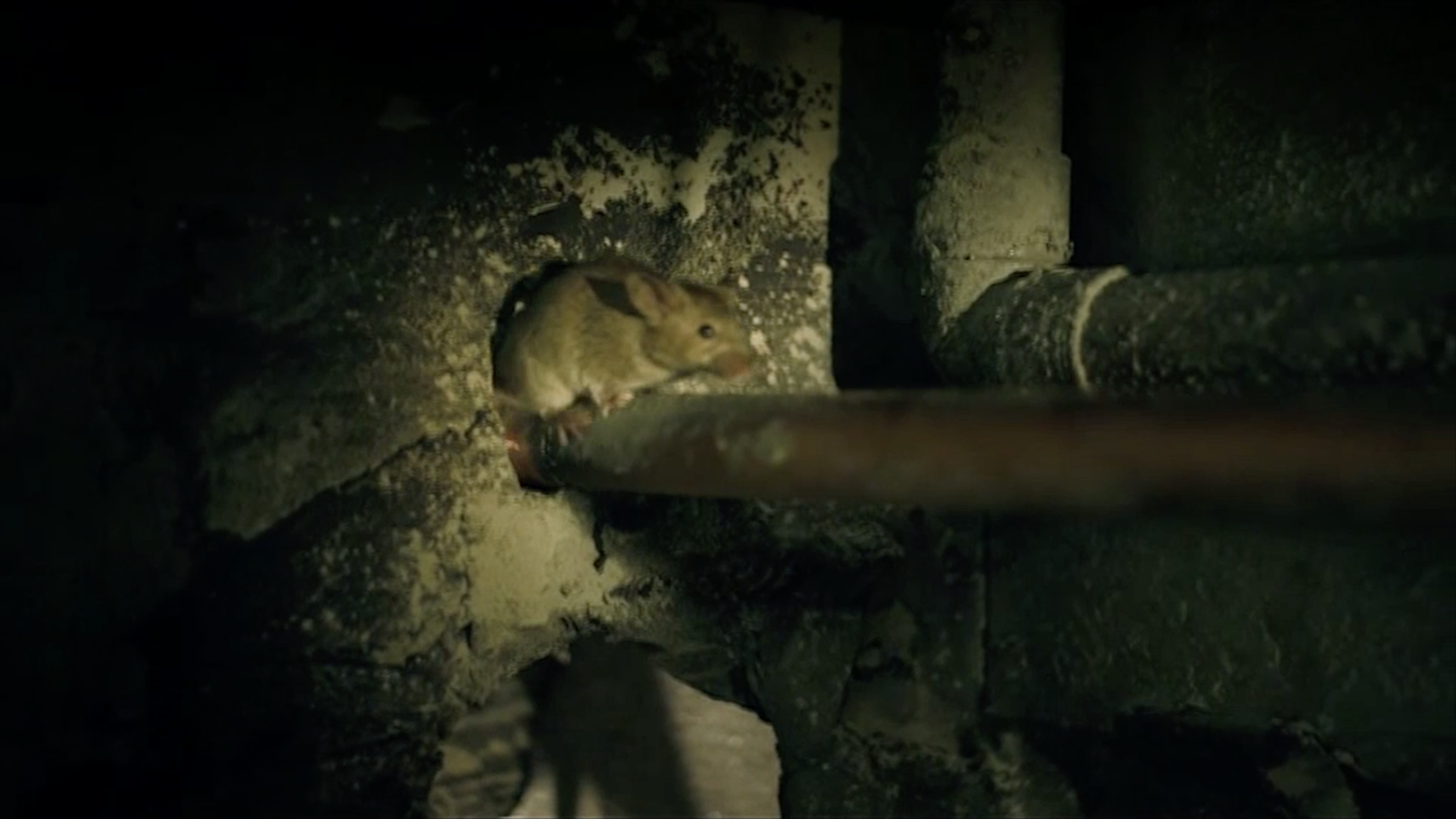 Beeld Even Apeldoorn Bellen video