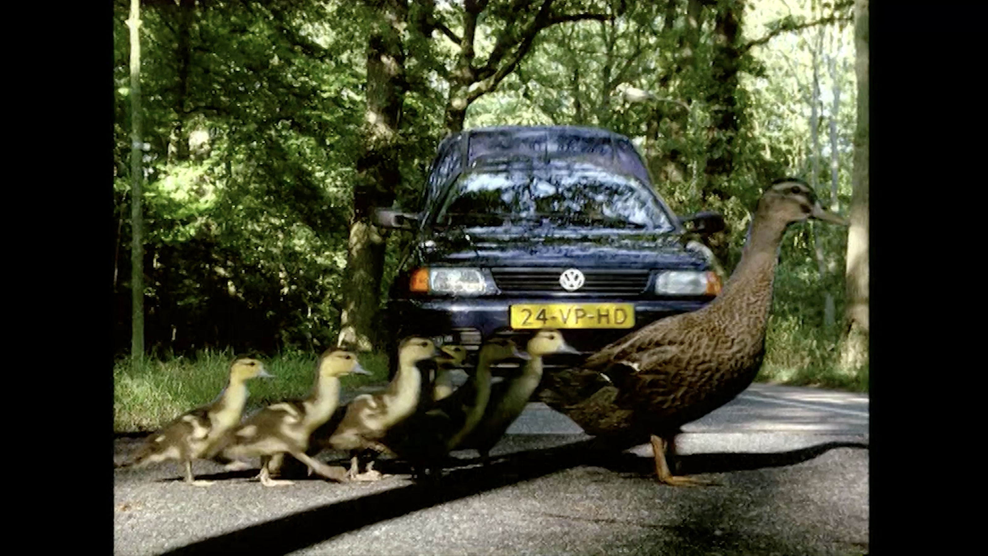 Beeld Even Apeldoorn Bellen video