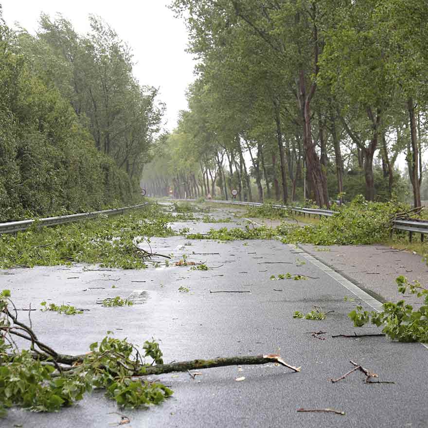 Storm takken op weg