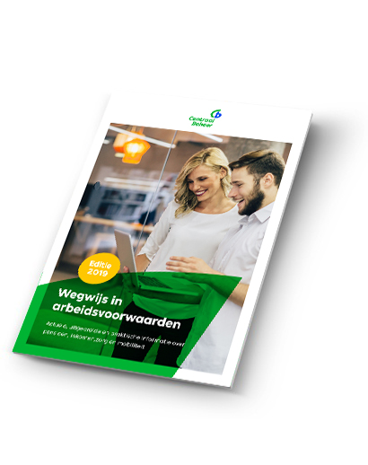 wegwijs in arbeidsvoorwaarden e-book